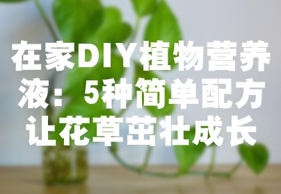 在家DIY植物营养液：5种简单配方让花草茁壮成长