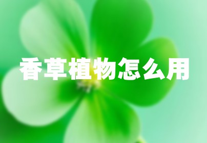 香草植物怎么用